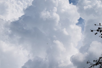 white clouds in the sky