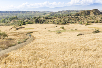 a man running on a rural path at a wheat field next to Guadix, province of Granada, Andalusia, Spain