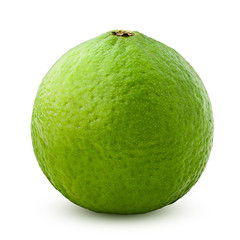 6312660 lime isolated on white background, clipping path, full depth of field