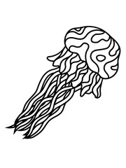 qualle schwimmen unterwasser ekelig glibbrig schön tauchen taucher tier fangarme comic cartoon clipart design