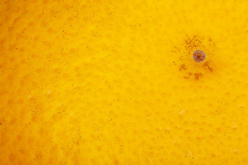 Close up of grapefruit or orange texture., close-up abstract blurred image