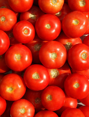 Ripe red tomatoes
