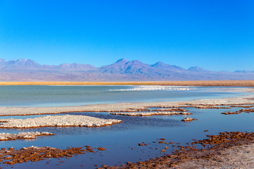 En algún lugar del desierto de Atacama y San Pedro de Atacama en el norte de Chile