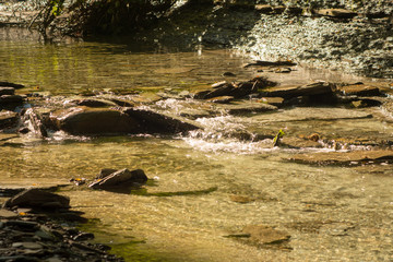 Four Mile creek at low water in late summer at Wintergreen gorge