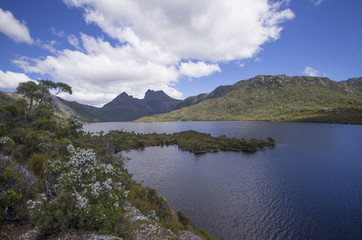 Craddle Mountain National Park en Tasmanie