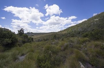 Cradle Mountain en Tasmanie, Australie