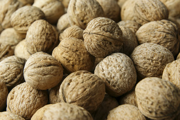 spilled whole walnut heap. healthy food for brain. walnuts background
