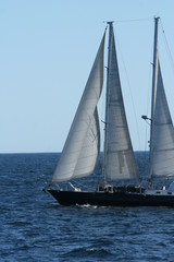 Fototapeta premium sailing yacht in the sea