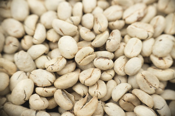 unroasted coffee beans, top view - coffee tree