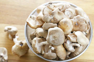 椎茸