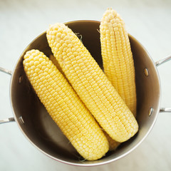 farm fresh boiled corn in a pot