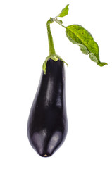 Fresh eggplant with green leaf isolated on white background