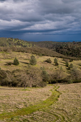 Fototapeta na wymiar Hills with grass and trees under dark sky