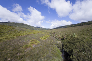 Craddle Mountain National Park en Tasmanie