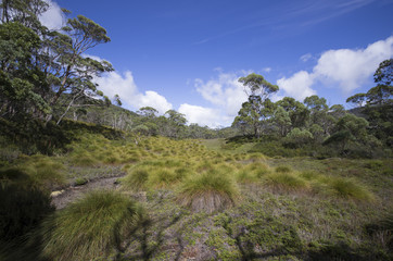 Fototapeta premium Cradle Mountain en Tasmanie, Australie