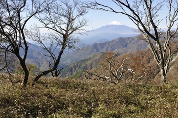 秋の丹沢山からの富士山