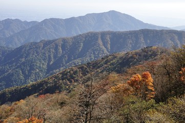 Naklejka premium 秋の竜ヶ馬場より大山