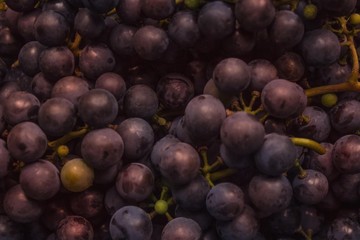 Texture of purple grapes.