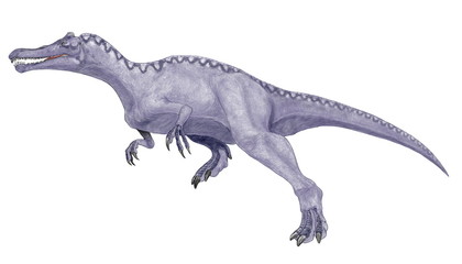 イリテーター、　スピノサウルス科　白亜紀前期の肉食の恐竜。頭部に翼竜類と間違うような鶏冠状の突起があり、翼竜のように顔が長い。ほぼ完全な頭部が発見された地層から、魚介類の化石が多く発見されており、魚食性の水辺に生息したと考えられている。頭部以外の骨格の化石が発見されておらず、再現イラストでは全体のフォルムについて同じスピノサウルス科のスコミムスやバリオニクスを参考にした。オリジナルイラスト。 © Mineo