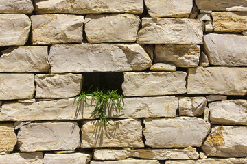 Stone wall with hole as texture