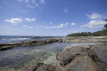 Fototapeta na wymiar rocher au bord de l'ocean pacifique en Australie