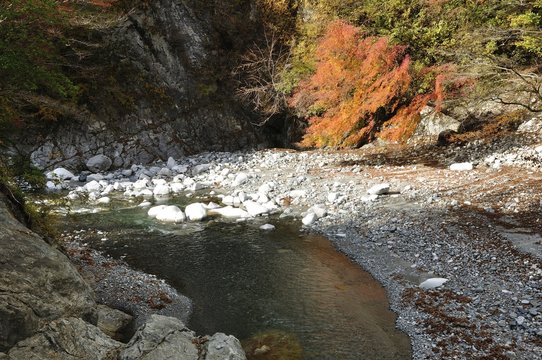 紅葉と玄倉川