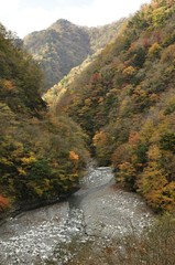 ユーシン渓谷の紅葉