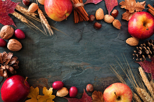Autumn frame of apples, fall foods and decor on a dark stone background with copy space