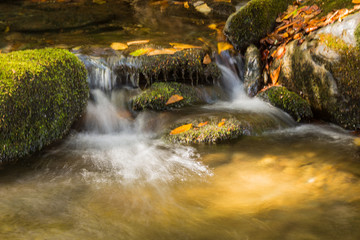 waterfall in the autumn forest