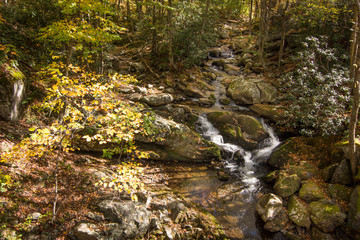 mountain stream in autumn forest