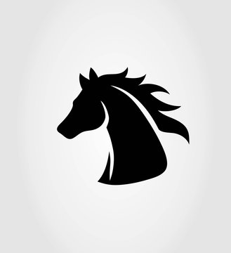 Head Horse Logo, art vector design