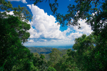 Fototapeta na wymiar Australian Mountain View nearby Brisbane city in Queensland, Australia. Australia is a continent located in the south part of the earth.