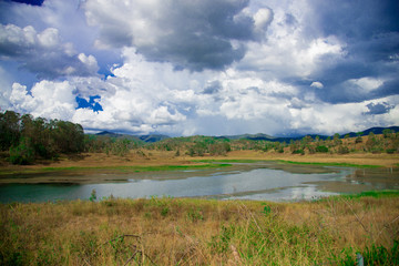 Pond nearby Brisbane city in Queensland, Australia. Australia is a continent located in the south part of the earth.