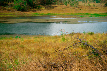 Pond nearby Brisbane city in Queensland, Australia. Australia is a continent located in the south part of the earth.