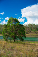 Pond nearby Brisbane city in Queensland, Australia. Australia is a continent located in the south part of the earth.