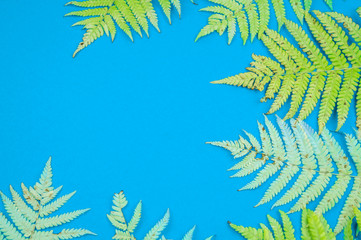 Fototapeta na wymiar Yellow autumn leaf fern on a blue background