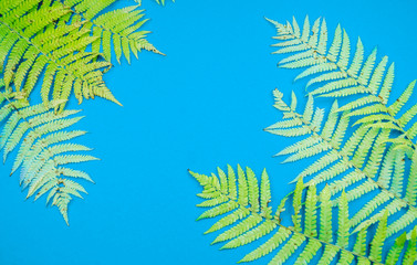 Fototapeta na wymiar Yellow autumn leaf fern on a blue background