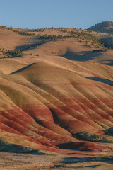 The Painted Hills - 223798953