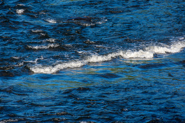 Obraz premium Baby waves formed on a river