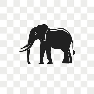 Elephant vector icon isolated on transparent background, Elephant logo design