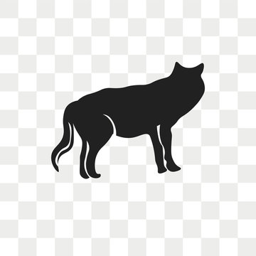 Coyote vector icon isolated on transparent background, Coyote logo design