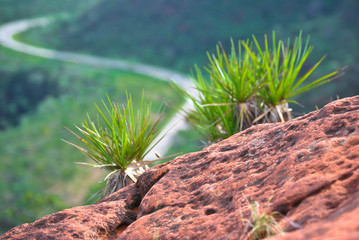 Chapada dos Guimarães