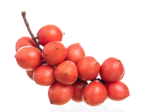 Burmese grape or Rambai ,Thai native fruit name in thai is "Ma Fai"