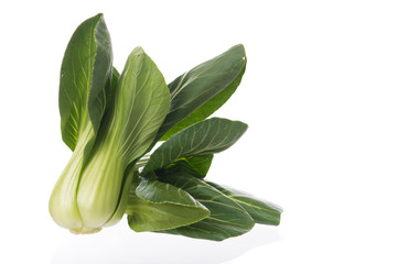 Pak Choy, fresh chinese cabbage on white background