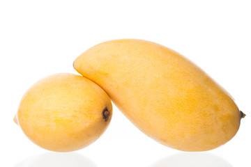 mango fruit on white background