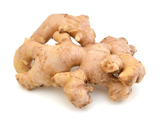 Gingers in flavoring cooking