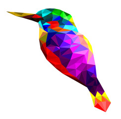 Isolated of Low poly colorful Hummingbird on white back ground,animal geometric,party birds concept,vector.	
