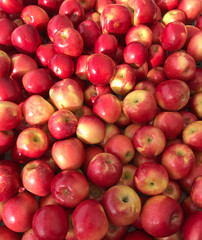 Red apples at a market
