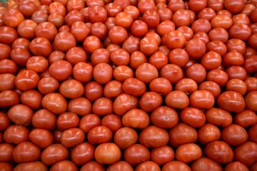 Fresh harvested red ripe tomatoes in a farmers produce market in Costa Rica / Central America.