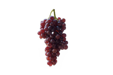 Bunch of grapes